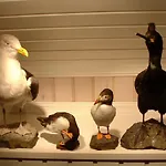 6 Person In Kalvag-by Traum